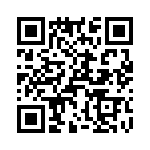 T38138-16-0 QRCode