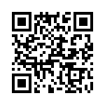 T38138-20-0 QRCode