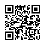 T38138-26-0 QRCode