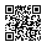 T38140-01-0 QRCode