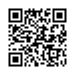 T38141-22-0 QRCode