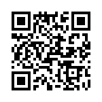 T38142-02-0 QRCode