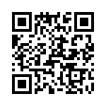 T38155-13-0 QRCode