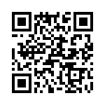 T38160-05-0 QRCode