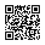 T38160-15-0 QRCode