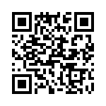 T38161-04-0 QRCode