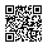 T38161-25-0 QRCode