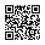 T38162-13-0 QRCode
