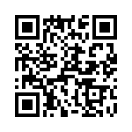 T38163-13-0 QRCode