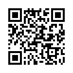 T38165-24-0 QRCode