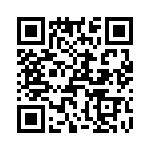 T38168-02-0 QRCode