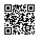 T38170-02-0 QRCode