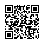 T38171-13-0 QRCode