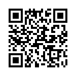 T38171-25-0 QRCode