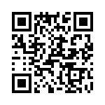 T38172-13-0 QRCode