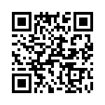 T38173-01-0 QRCode