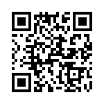 T38173-07-0 QRCode