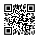 T38173-22-0 QRCode