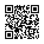 T38178-06-0 QRCode