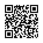 T38178-24-0 QRCode