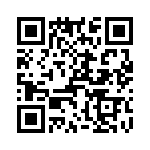 T38212-10-0 QRCode