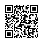 T38212-11-0 QRCode