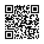 T38213-04-0 QRCode