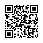 T38213-05-0 QRCode