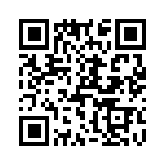 T38213-11-0 QRCode