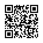 T38213-13-0 QRCode