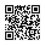 T38215-13-0 QRCode