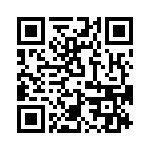 T38217-02-0 QRCode