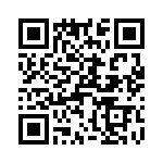 T38217-04-0 QRCode