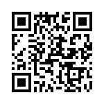 T38217-11-0 QRCode