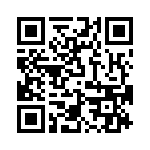 T38217-13-0 QRCode