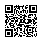 T38218-07-0 QRCode