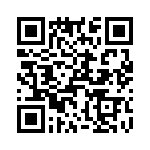 T38228-25-0 QRCode