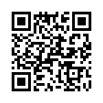 T38232-05-0 QRCode