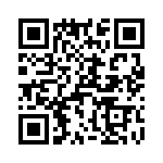 T38233-10-0 QRCode