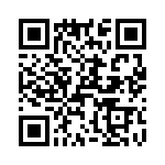 T38235-17-0 QRCode