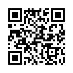 T38261-02-0 QRCode