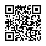 T38265-09-0 QRCode