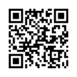 T38310-02-0 QRCode