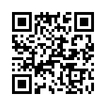 T38310-07-0 QRCode