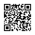 T38310-09-0 QRCode