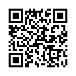 T38311-04-0 QRCode