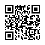 T38311-09-0 QRCode