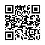 T38312-02-0 QRCode