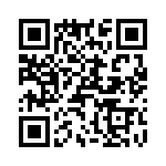 T38312-04-0 QRCode
