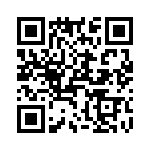 T38312-09-0 QRCode